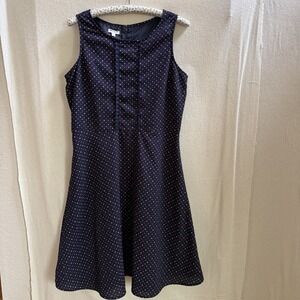 Talbots Fit & Flare Dress Sleeveless Career Party Polka Dot Lined Size 10P
